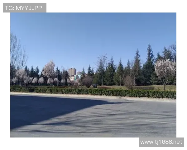 咔咔足球明星揭晓背后的故事与成就让我们一起探寻他的人生轨迹