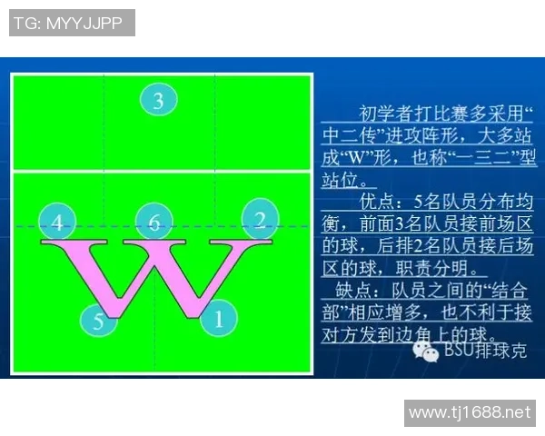成都排球队整体压制战术解析与实战应用探讨