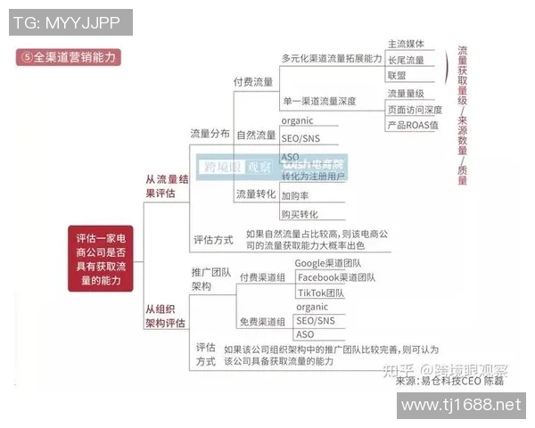 杭州篮球队战术揭秘：从训练到比赛的全景分析与策略探讨